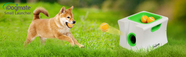 iDogmate 小型自動ペット犬用ボール投げ機 - テニスボールランチャー - 子犬または小型犬のフェッチ - ボール投げ機 - 1.75インチのボール付きペット犬用おもちゃ