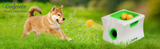 iDogmate 小型自動ペット犬用ボール投げ機 - テニスボールランチャー - 子犬または小型犬のフェッチ - ボール投げ機 - 1.75インチのボール付きペット犬用おもちゃ