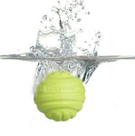 iDogmate 2.5 インチ耐久性と洗濯可能なペット ボール (2 個)